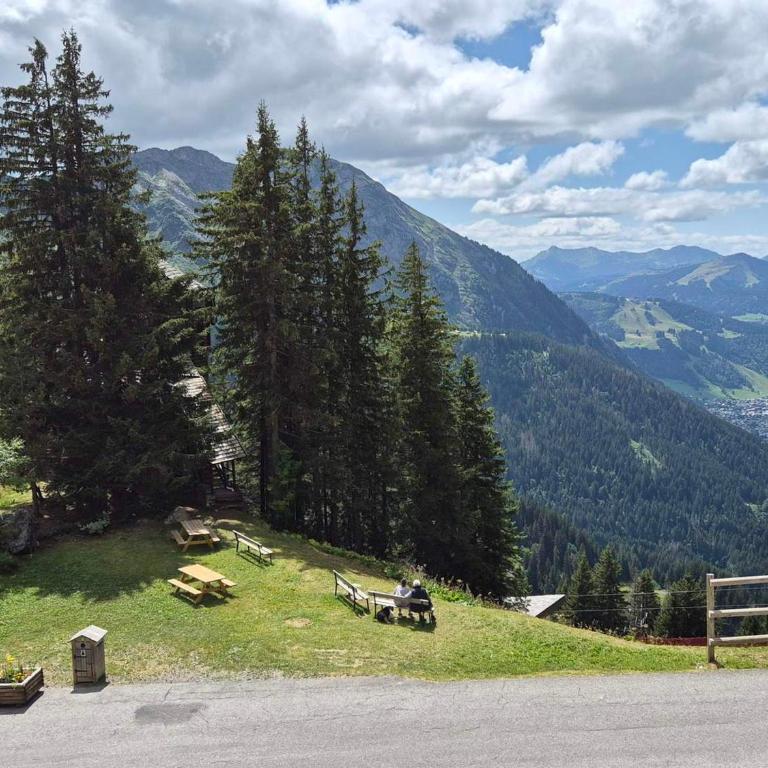 Avoriaz : Appartement rénové pour 5 pers avec WIFI - FR-1-633-22 - Appartement (5 Adultes) - 13