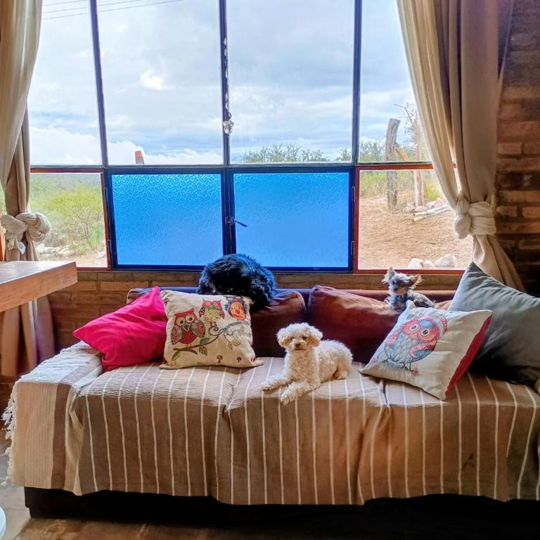El Rincón de Veroka - Casa con 1 dormitorio - 17