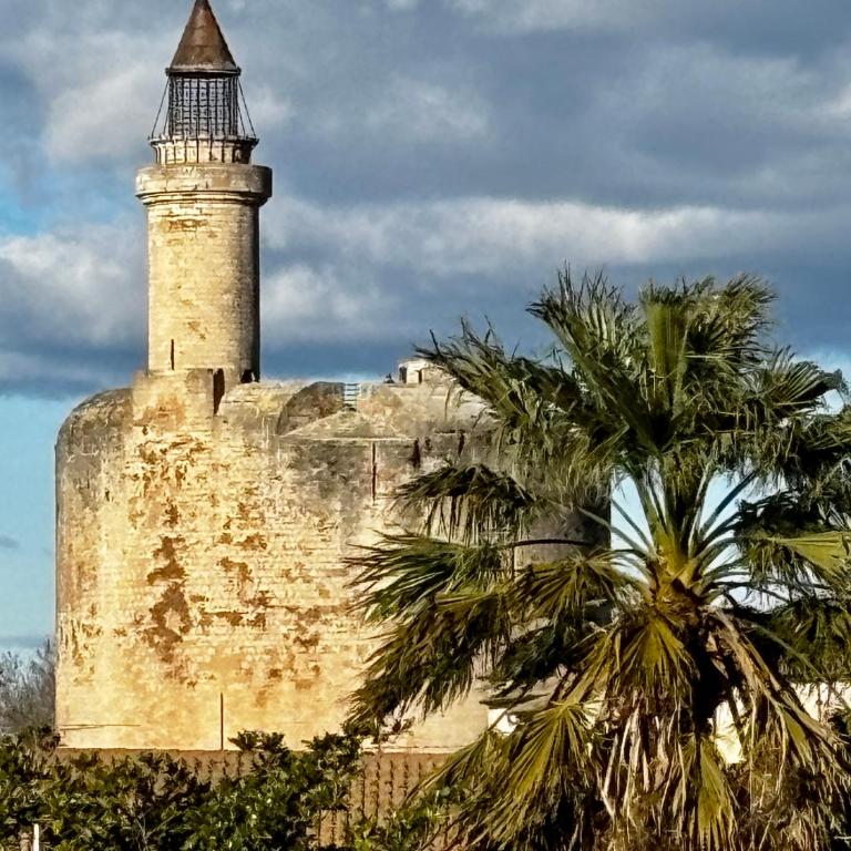 Le Ptit Saint-Louis - Monolocale - 31