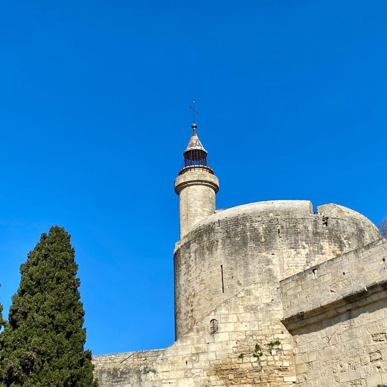 Le Ptit Saint-Louis - Monolocale - 33