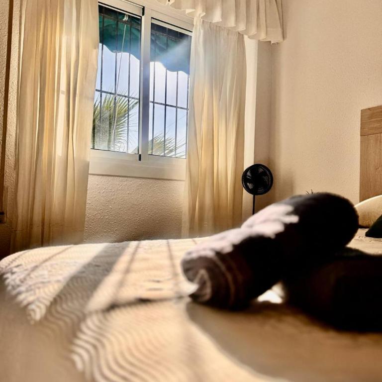 Apartamentos Sol Casa Luz - Appartamento con 3 Camere da Letto - 7