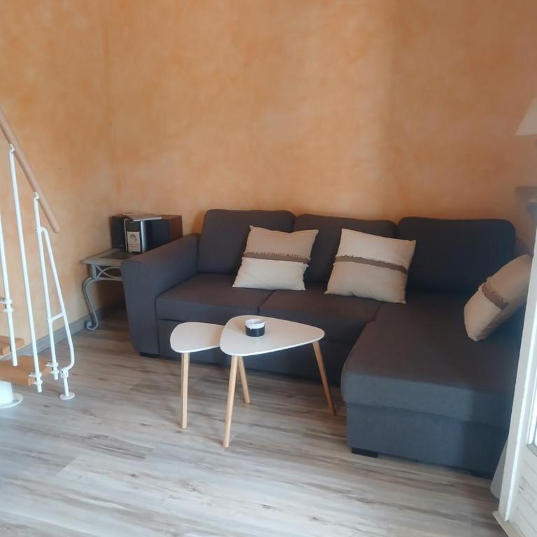 Appartement Amélie-les-Bains - Appartement 2 Chambres - 10