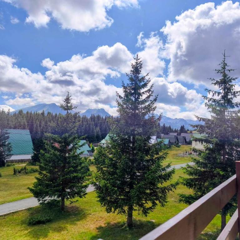 Durmitor Chalet-Fireplace-Private Garden - Kuća sa 2 Spavaće Sobe - 15