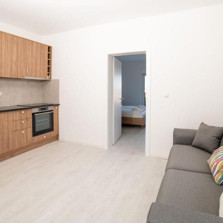 Villa Bari - Deluks Apartman sa 1 Spavaćom Sobom i Pogledom na Grad - 51