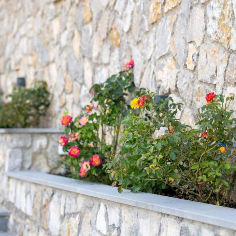 Villa Bari - Deluks Apartman sa 1 Spavaćom Sobom i Pogledom na Grad - 40