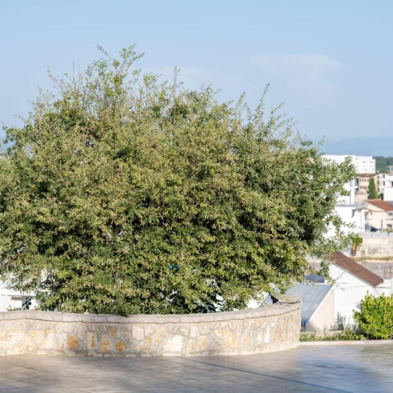 Villa Bari - Deluks Apartman sa 1 Spavaćom Sobom i Pogledom na Grad - 54