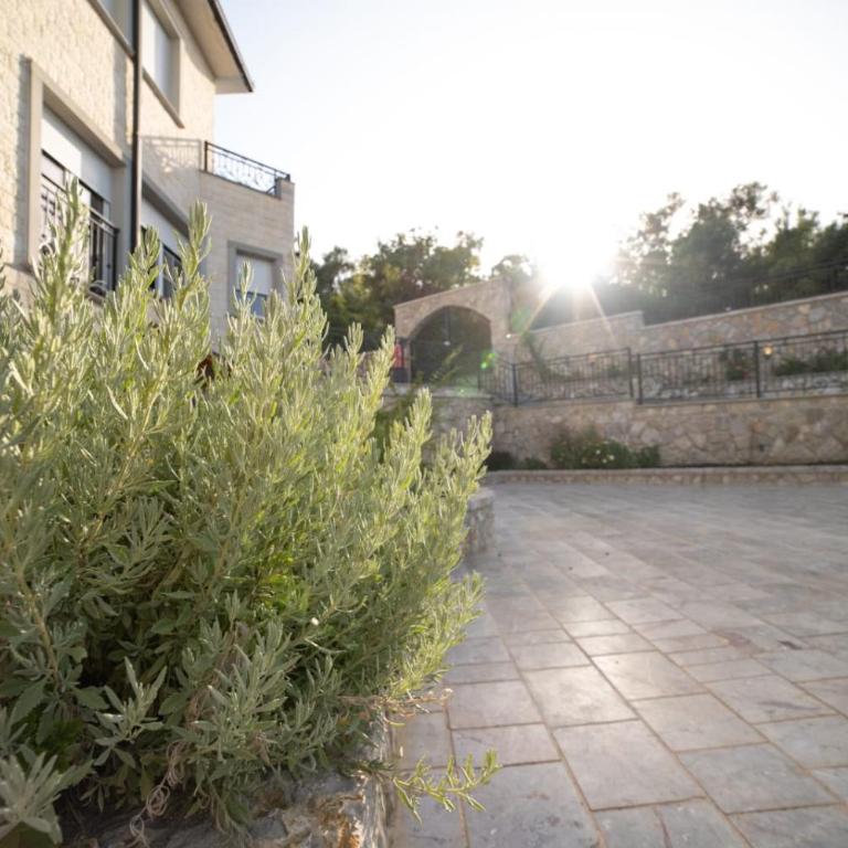 Villa Bari - Deluks Apartman sa 1 Spavaćom Sobom i Pogledom na Grad - 49