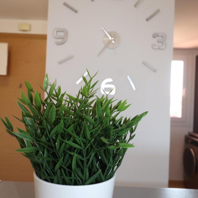 Casa Doowrevlis 2 bedroom apt Mar Menor Golf - Apartamento con terraza - 19