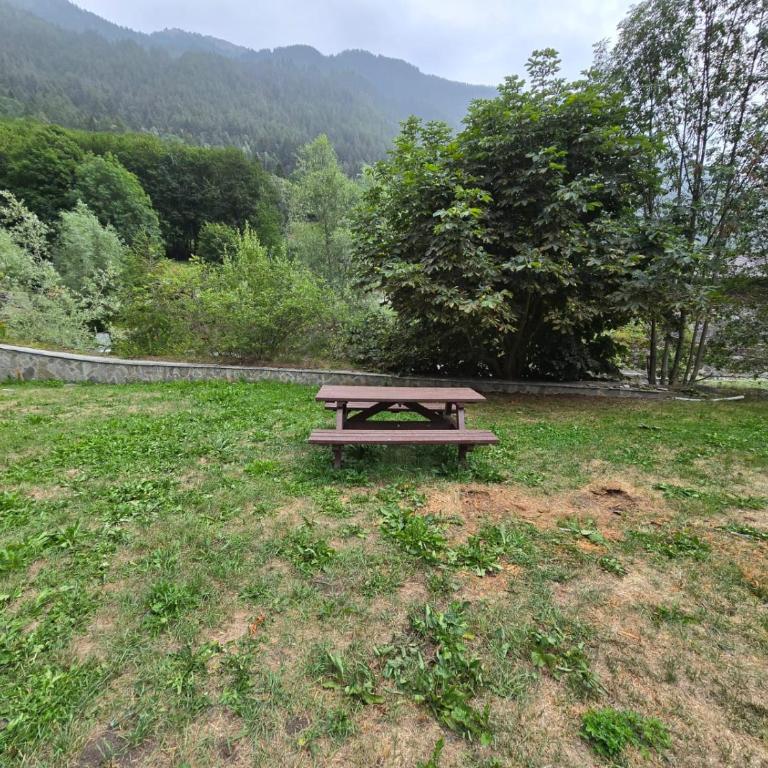 Ai piedi del Gigante apartment - Valtournenche - Appartamento Deluxe con 1 Camera da Letto - 46