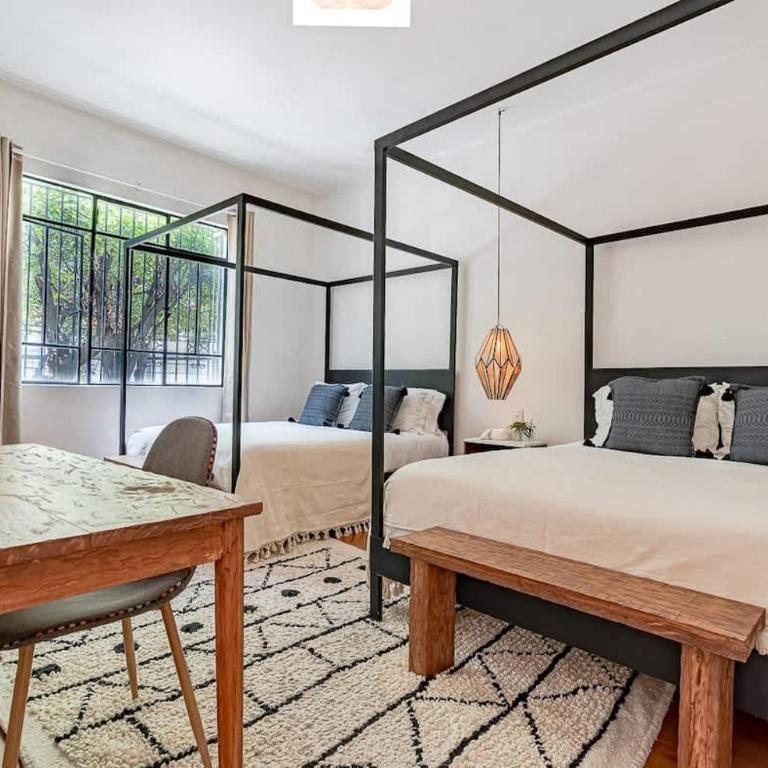 Casona en Condesa con patio gigante - Apartment - 3