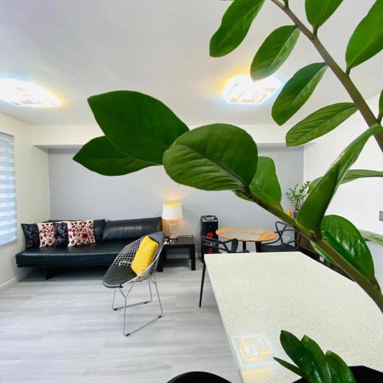 Moderno & Ejecutivo en La Florida - Two-Bedroom Apartment - 5