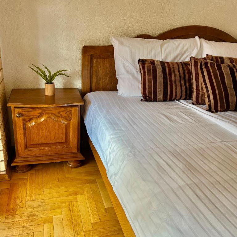 Villa Zehra Ilidza - Vila sa 2 Spavaće Sobe - 32