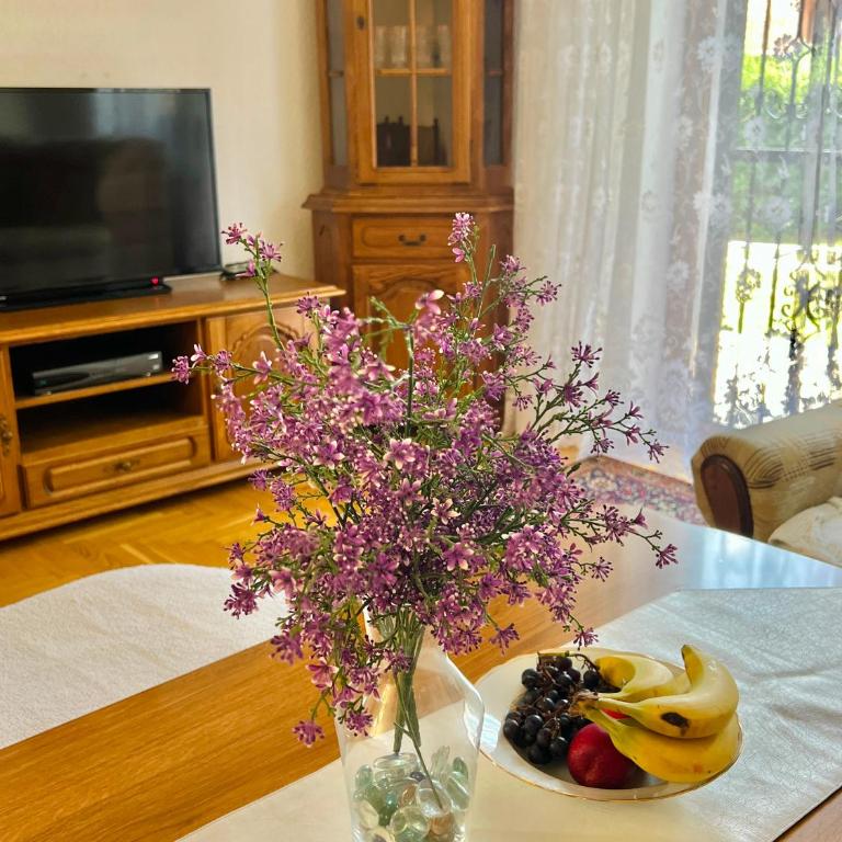 Villa Zehra Ilidza - Vila sa 2 Spavaće Sobe - 33