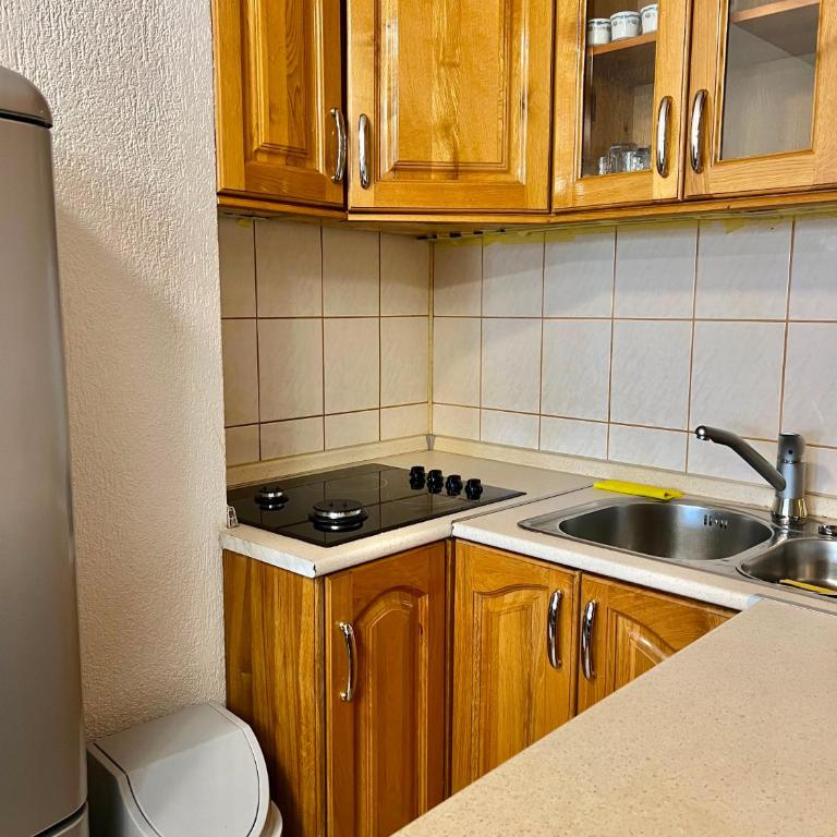 Villa Zehra Ilidza - Vila sa 2 Spavaće Sobe - 38