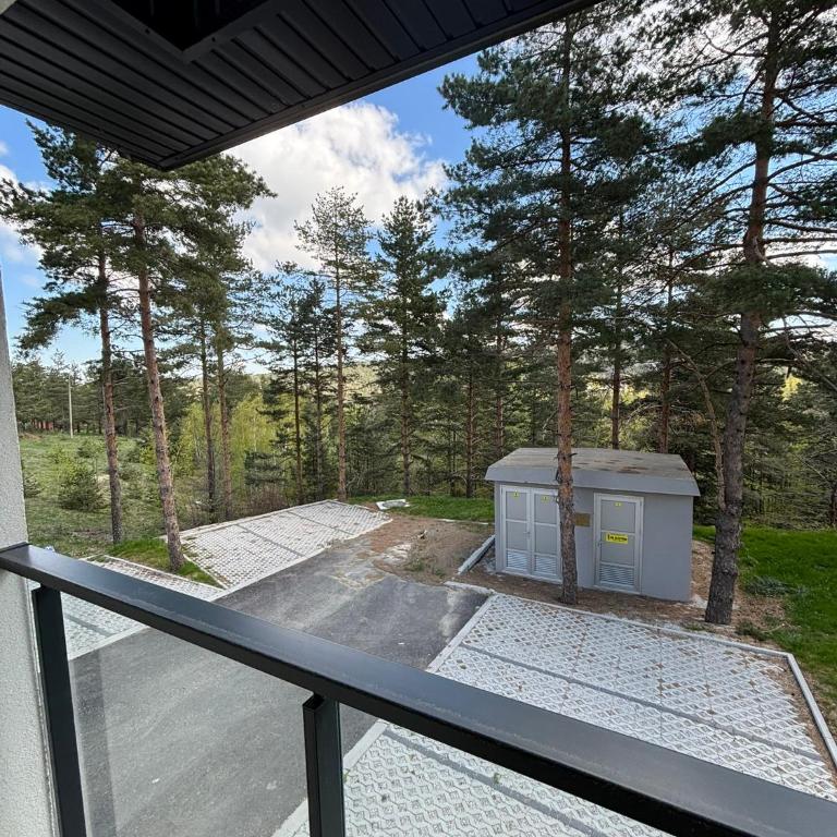 Meda apartman Divcibare Mali Golubac - Apartment mit 1 Schlafzimmer - 21