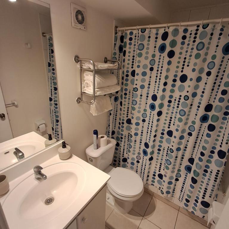Departamento Santiago Moneda - One-Bedroom Apartment with View - 6