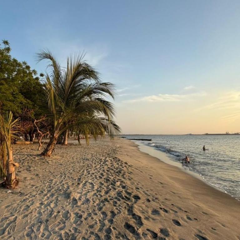Apartment | Beach, Jacuzzis & Pools | 2BR - Two-Bedroom Apartment - 52