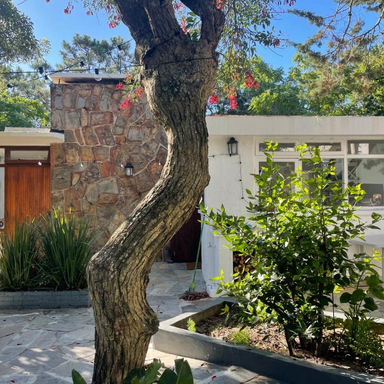 Casa Pisuri maravilloso entorno cerca del mar - Casa de 4 dormitorios - 53