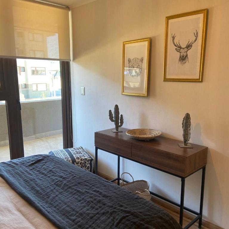 Modern depto Lake Villarrica - Apartamento de 1 dormitorio - 6