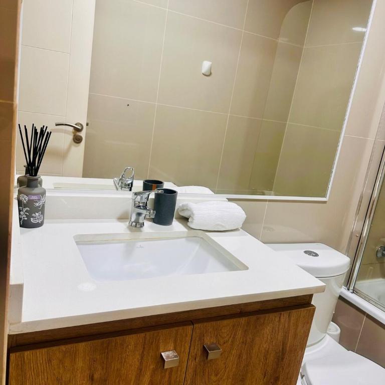 Modern depto Lake Villarrica - Apartamento de 1 dormitorio - 8