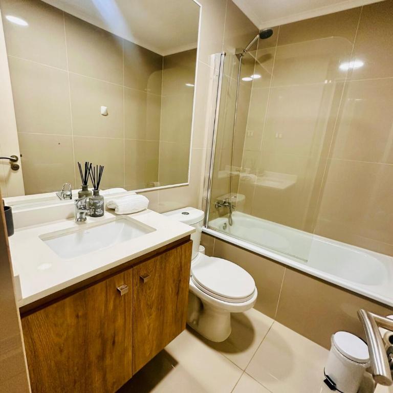 Modern depto Lake Villarrica - Apartamento de 1 dormitorio - 10