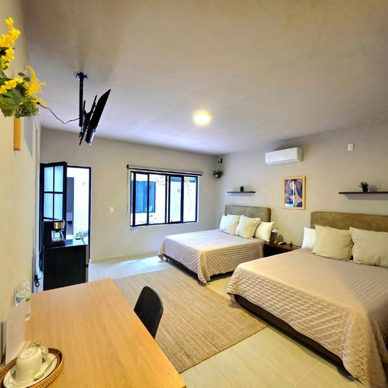 MINERVA LOFTS and SUITES - Habitación Deluxe - 1 cama grande - 1