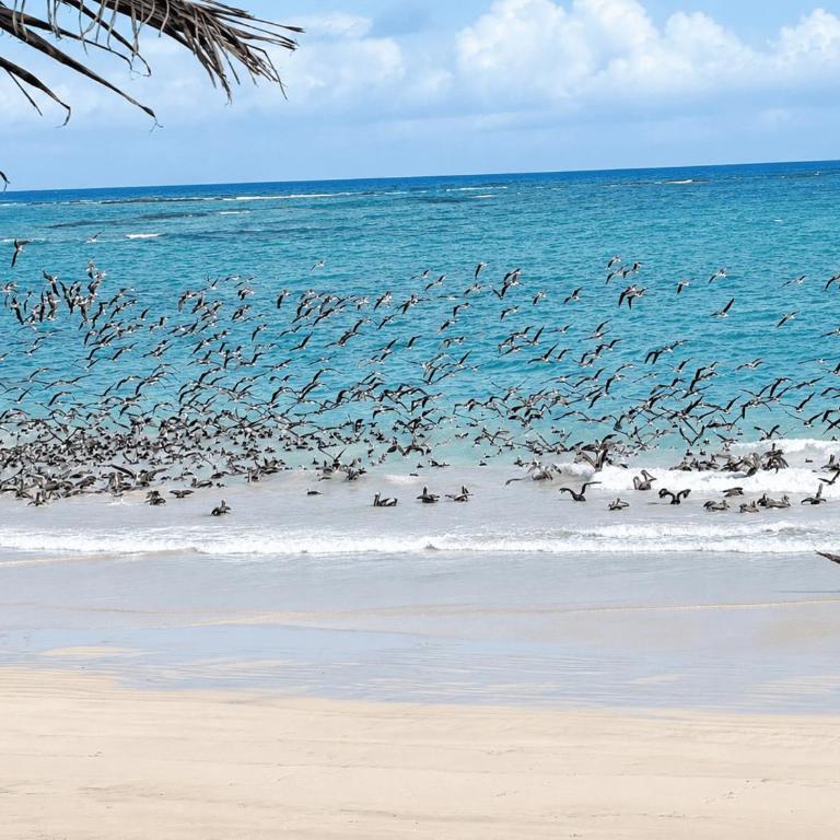 Yellow Heron House - Villa with Sea View - 25