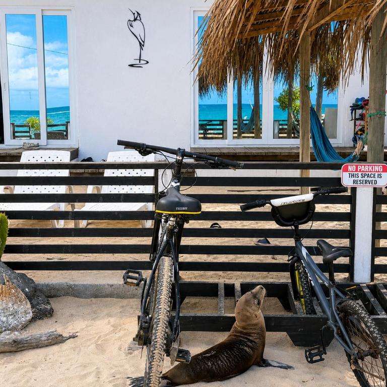 Yellow Heron House - Villa with Sea View - 24