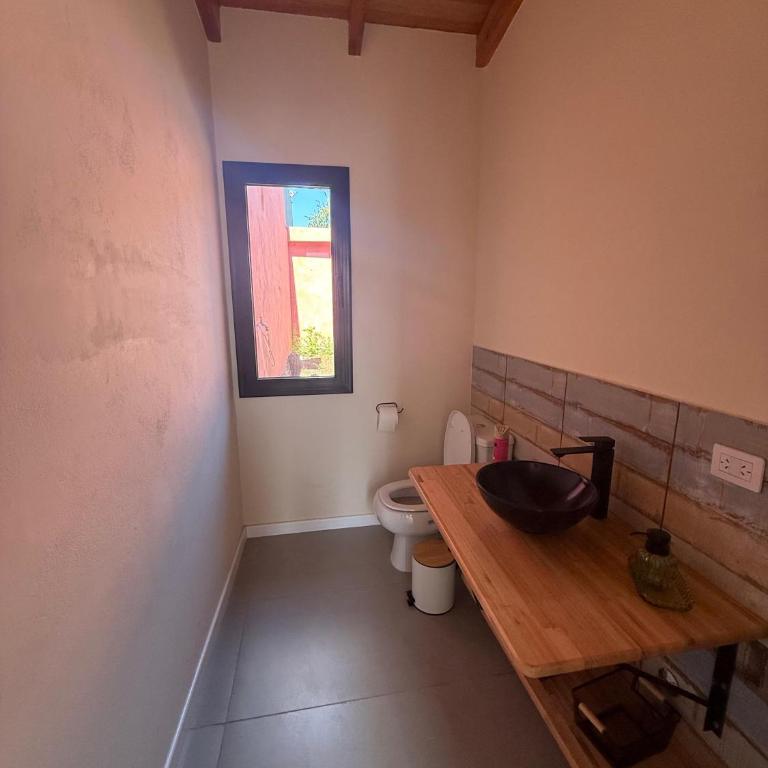 La Rosadita - Apartamento de 1 dormitorio - 14