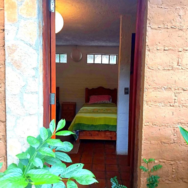 Secret Garden - Apartamento de 2 dormitorios - 3