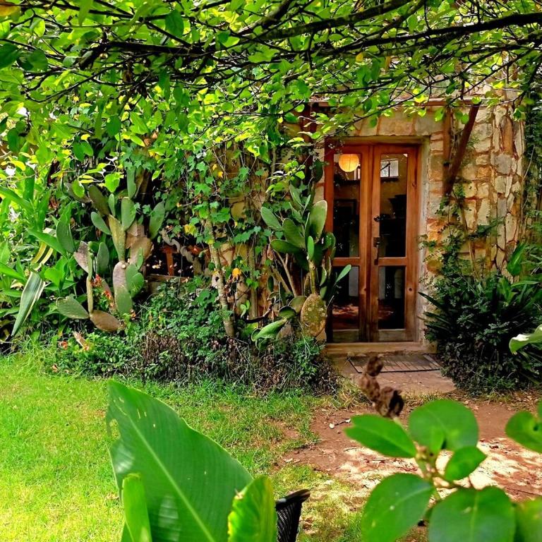 Secret Garden - Apartamento de 2 dormitorios - 9