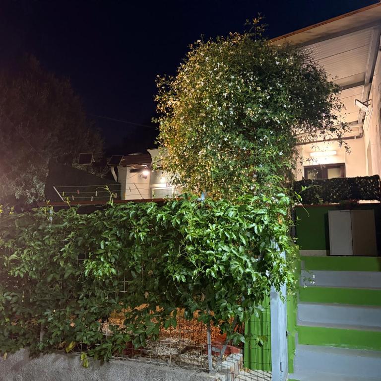 Quirin's Apartments - Appartamento con 2 Camere da Letto - 72