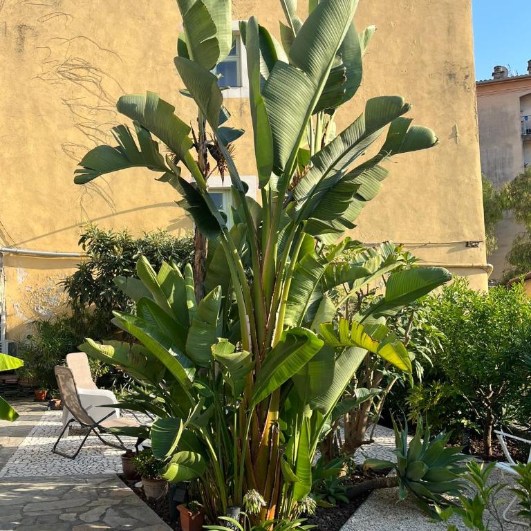 UNIQUE dans le Vieux-Nice! Appartement avec jardin et terrasse - Apartamento de 1 dormitorio - 50