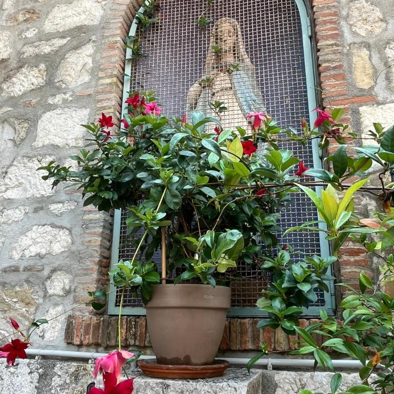 UNIQUE dans le Vieux-Nice! Appartement avec jardin et terrasse - Apartamento de 1 dormitorio - 53