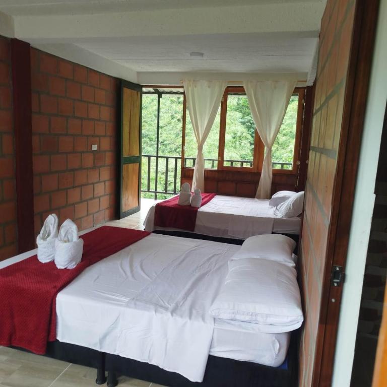Cabañas orquídea - Quadruple Room with Private Bathroom - 4
