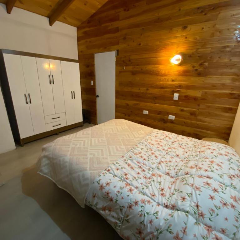 Casa equipada, Lican Ray, Villarrica, Chile - Casa de 5 dormitorios - 1