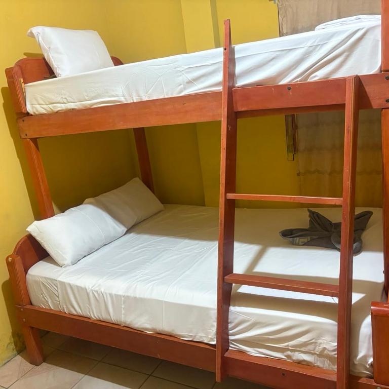 Welcome to the Amazon - Bed in 4-Bed Female Dormitory Room - 2