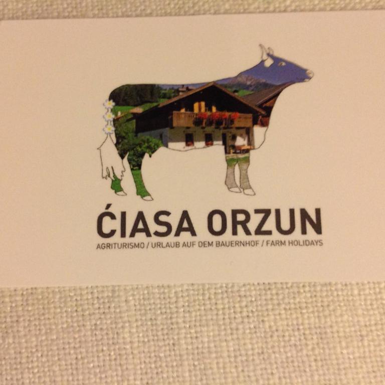 Ciasa Orzun - Appartamento con Balcone - 5