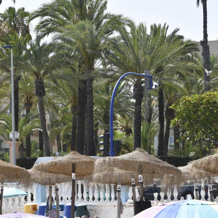 Apartament przy plaży Los Locos LA PERLA DEL MAR - Appartamento con 2 Camere da Letto - 5