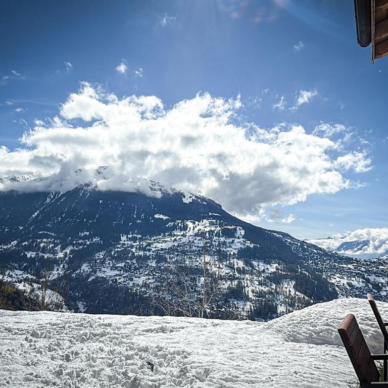 Chalet Pomone - Jardin, Soleil et Vue Alpine - Chalet - 26