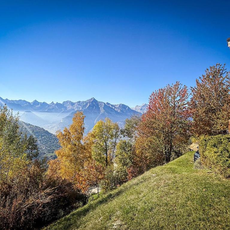 Chalet Pomone - Jardin, Soleil et Vue Alpine - Chalet - 27