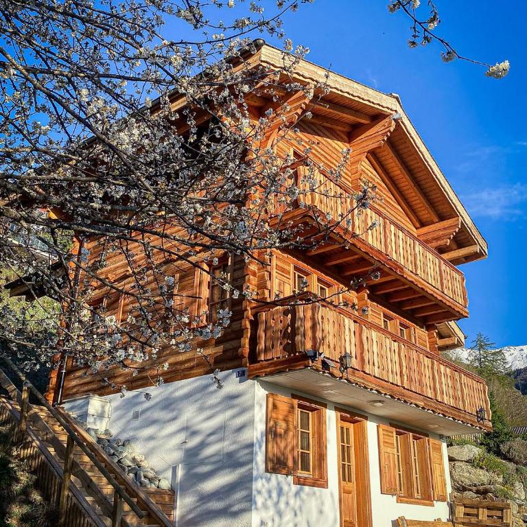 Chalet Pomone - Jardin, Soleil et Vue Alpine - Chalet - 25