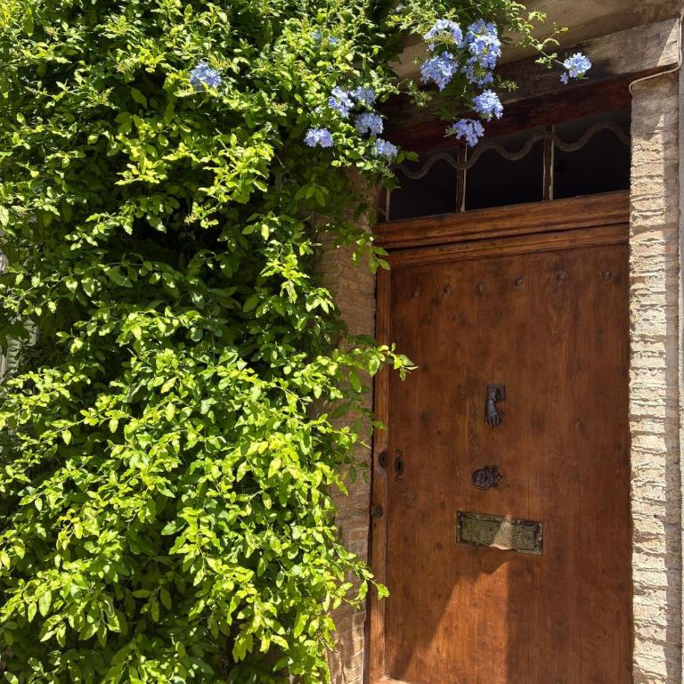 Elegant Apartment on a Quiet Street in Old Town - Appartement 1 Chambre - 11