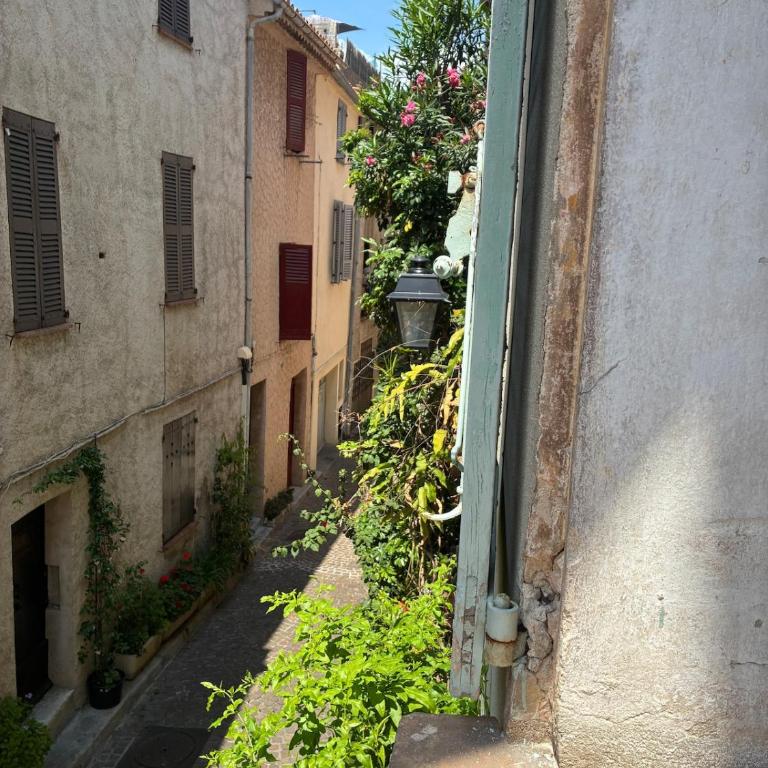 Elegant Apartment on a Quiet Street in Old Town - Appartement 1 Chambre - 12