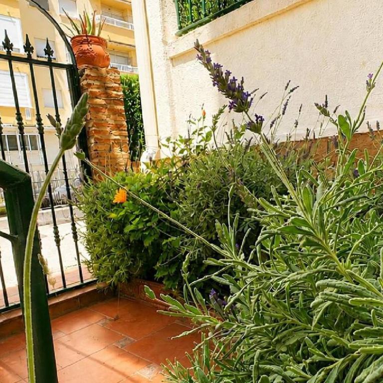Casa Coral Fancy apartment in Laguna Beach - Apartamento de 1 dormitorio - 10