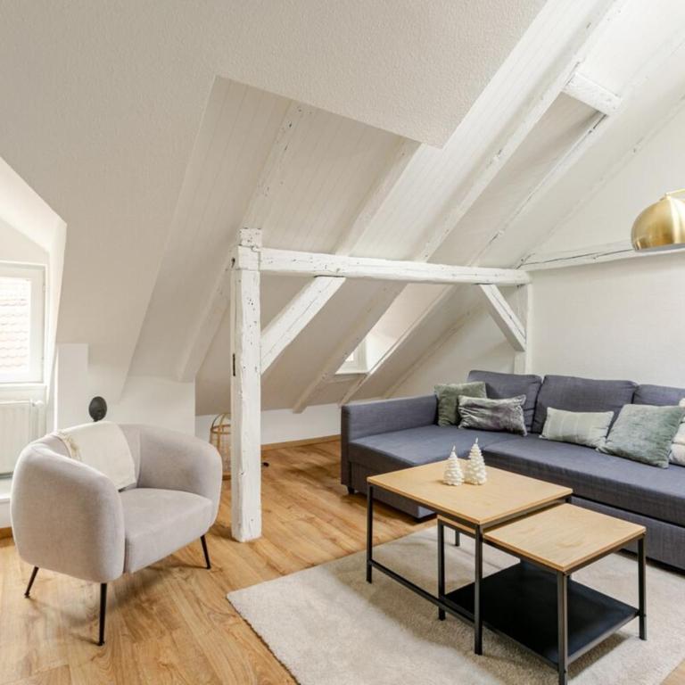 Love and the city au cœur de Strasbourg - Appartement - 6