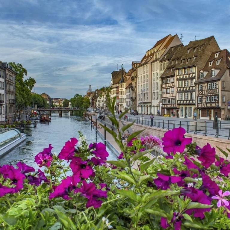 Happy Home Strasbourg Serruriers - Appartement - 12