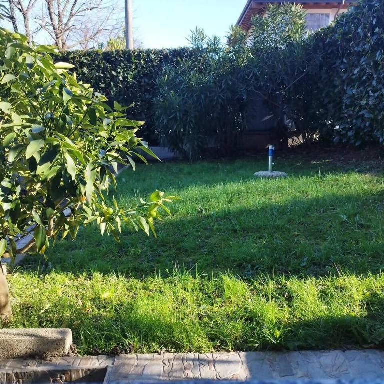 C’est la vie – Alloggio accogliente vicino al lago - Appartamento con 2 Camere da Letto - 7