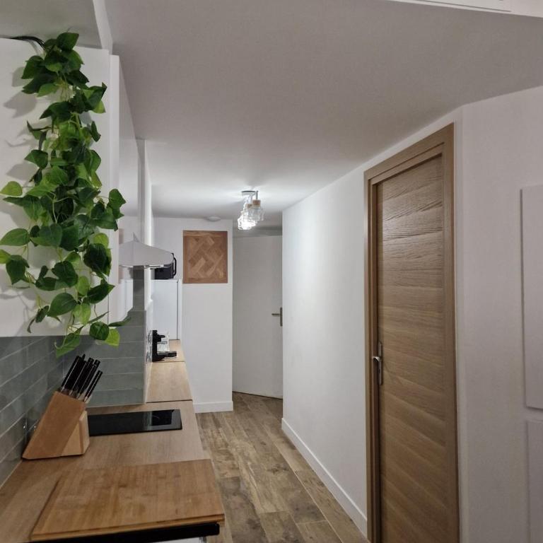 CARNOT T2 - Appartement Cannes 4P - Appartement 1 Chambre - 5