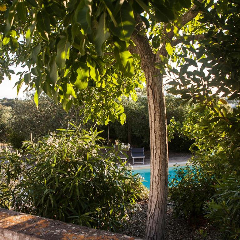 Villa Vittoria by I trulli Escape - Casa con 4 camere da letto - 58